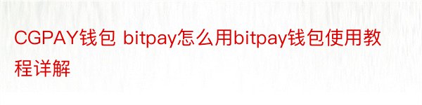 CGPAY钱包 bitpay怎么用bitpay钱包使用教程详解