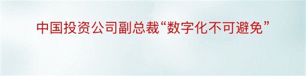 中国投资公司副总裁“数字化不可避免”