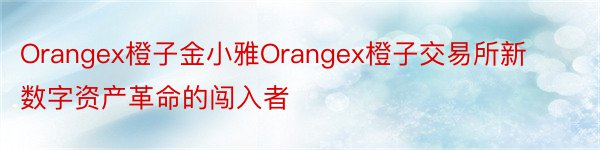 Orangex橙子金小雅Orangex橙子交易所新数字资产革命的闯入者
